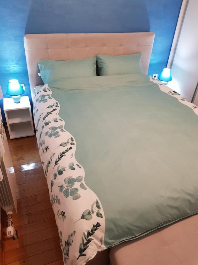 Apartman Kej Blue Free Parking Kraljevo Extérieur photo
